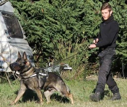 PARASECURITE surveillance gardiennage sécurité à Alès Maître chien